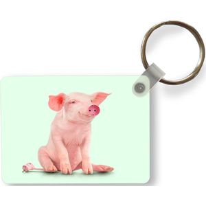 Sleutelhanger - Varken - Roze - Stopcontact - Dieren - Uitdeelcadeautjes - Plastic