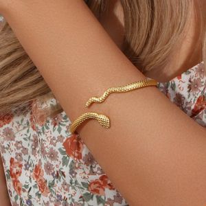 Slang Armband - 18K Vergulde Armband