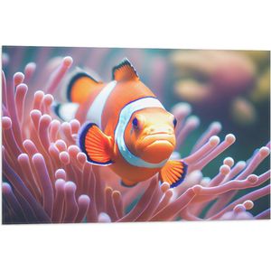 Vlag - Oranje Clownvis zwemmend tussen Roze Koraal - 75x50 cm Foto op Polyester Vlag