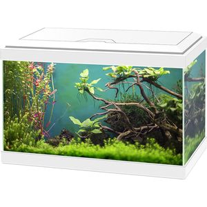 Ciano aquarium aqua 20 classis - 40x20x24,8cm - Wit - 20L