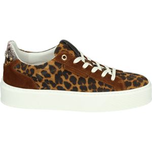 Floris van Bommel SFW-10106-23-01 - Lage sneakersDames sneakers - Kleur: Bruin - Maat: 39.5