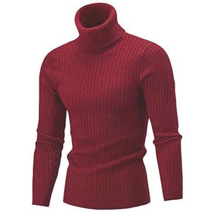 Heren Coltrui met Hoog Hals, Casual en Slim Fit, Gebreid