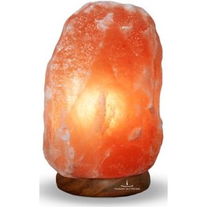 Himalaya Salt Dreams - Zoutlamp - Tafellamp - 2-3Kilo - 19cm Hoog - Houtenvoet