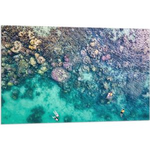 Vlag - Duiken - Snorkelen - Toeristen - Zee - Oceaan - Koraal - 105x70 cm Foto op Polyester Vlag