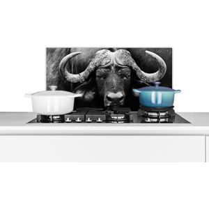 Spatscherm keuken 60x30 cm - Kookplaat achterwand Dieren - Buffalo - Zwart - Wit - Portret - Muurbeschermer - Spatwand fornuis - Hoogwaardig aluminium