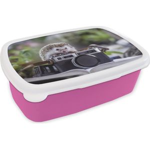 Broodtrommel Roze - Lunchbox - Brooddoos - Egel op een fototoestel - 18x12x6 cm - Kinderen - Meisje