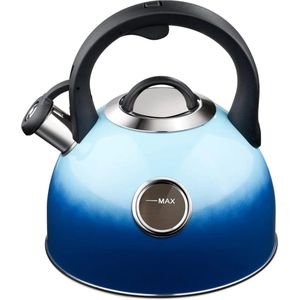 Fluitketel - Fluitketels voor op gas - Fluitketels - 3L - Perfect voor op de camping!