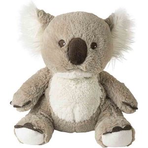 Warmies magnetron mini Koala