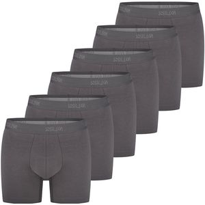 sloggi Heren lang short / pant 6 pack SLG Base
