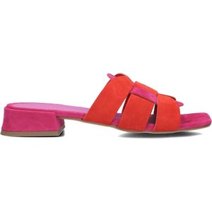 STEFANO LAURAN Karin Slippers - Dames - Paars - Maat 41