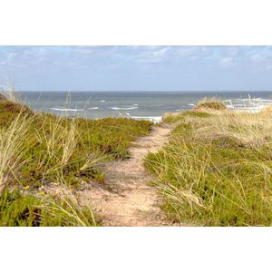 Dibond - Zee - Strand in wit / zwart / bruin / blauw / groen - 80 x 120 cm