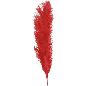 Chaks Struisvogelveer/sierveer - rood - 55-60 cm - decoratie/hobbymateriaal
