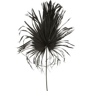 J-Line decoratie Palmblad - palmboom - zwart - 8 stuks