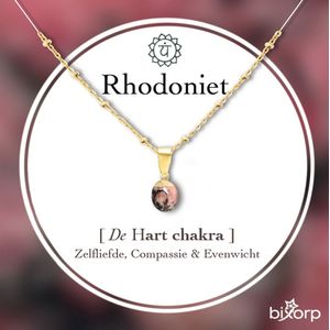 Bixorp Rhodoniet Chakra Ketting met 18k Verguld Goud - Spirituele Hanger - Roestvrij Staal - 36cm + 8cm verstelbaar