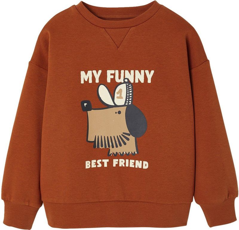 Vertbaudet - Sweater - Jongens - Hondenprint