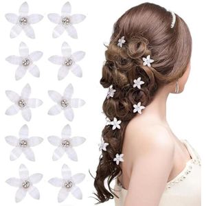 10 Stuks Kleine Bloem Haarspelden voor Dames en Meisjes - Witte Haarspelden en Haaraccessoires