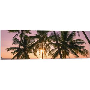 Vlag - Tropische Palmbomen voor Oceaan en Zonsondergang - 120x40 cm Foto op Polyester Vlag