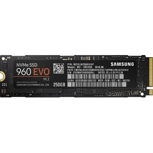 Samsung 960 EVO - Interne SSD -