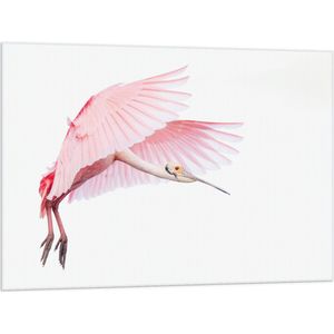 Vlag - Vliegende Flamingo in de Bewolkte Lucht - 100x75 cm Foto op Polyester Vlag