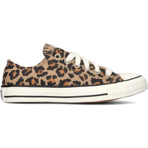 Converse Chuck Taylor All Star Leo Sneakers - Dames - Zwart - Maat 36