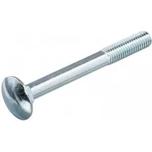 2x Slotbout - M10 x 100mm - DIN603 - Gegalvaniseerd