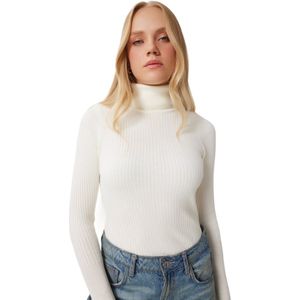 Happinessistanbul Lila Geribbelde Lycra Damessweater Met Coltrui Dd01007