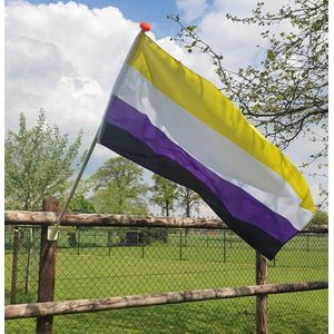 Non Binair vlag - Non Binary Pride Flag - Non Binair flag