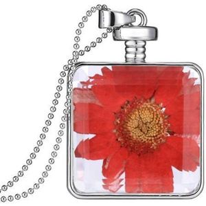 Fako Bijoux® - Ketting - Gedroogde Bloem - Vierkant - Zilverkleurig - Roze