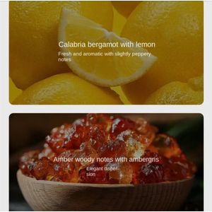 Handgemaakte Parfumzeep voor Mannen 3.52oz, Met Munt- en Citrusgeur, Parabenvrij, Hydraterende Glycerine Bar voor Gezichts- en Lichaamswas, Ideaal Geschenk voor Mannen