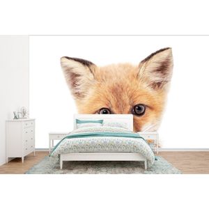 Vos - Dieren - Oranje - Natuur - Behangpapier