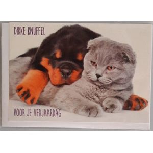 Een dikke knuffel voor je verjaardag! Een grappige kaart met een luie hond en kat die over elkaar heen liggen. Een leuke kaart om zo te geven of om bij een cadeau te voegen. Een dubbele wenskaart inclusief envelop en in folie verpakt.