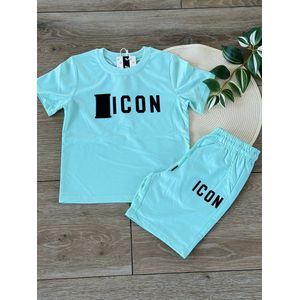 Icon zomer set mint groen
