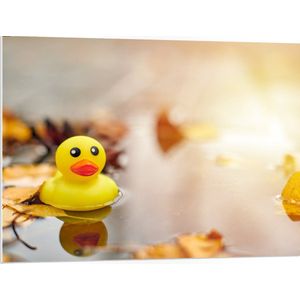 PVC Schuimplaat - Badeendje Dobberend in Regenplas en Herfstbladeren - 100x75 cm Foto op PVC Schuimplaat (Met Ophangsysteem)