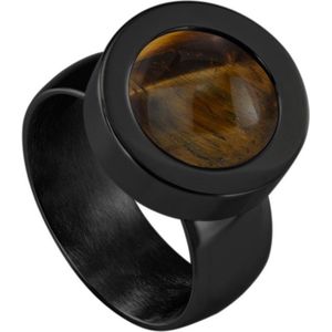 Quiges RVS Schroefsysteem Ring Zwart Glans 16mm met Verwisselbare Tijgersoog Bruin 12mm Mini Munt