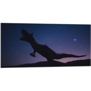 WallClassics - Vlag - Silhouette van een Dinosaurus in de Nacht - 100x50 cm Foto op Polyester Vlag
