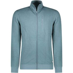 Cars - Sweatvest - Blauw - Met Textuur