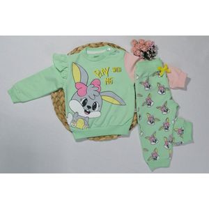 Babysetje 2-delig - Newborn kleding set/meisje - kraamcadeau - babykleding - babykleertjes - Huispakje | Kraamkado - Maat 86/ 1,5 jaar - Play with me - mint/rose