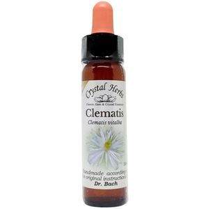 Bach bloesem remedies 'Clematis', Crystal Herbs, 100% natuurlijk, 10 ml