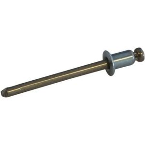 Talamex monel popnagels / POPNAGEL MONEL 4,8X15,0MM(2)