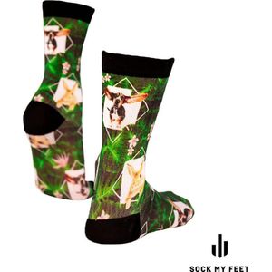 Sock my hairy friends - maat 39-42