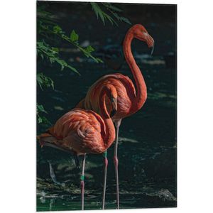 WallClassics - Vlag - Flamingo Duo tussen Groene Takken - 50x75 cm Foto op Polyester Vlag