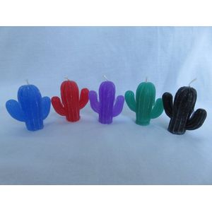 Kaars cactus set van 5, Groen appelgeur, Rood rozengeur, Paars lavendelgeur, Blauw oceaangeur, Zwart zwarte orchidee geur