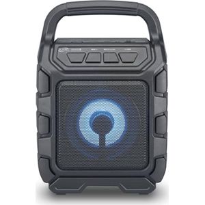 Draadloze Bluetooth Partyt speaker met FM Radio en LED Lichten