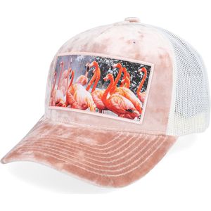 Hatstore- Flamingo Velvet Peach/Ivory A-frame Trucker - Calza Pennello Cap