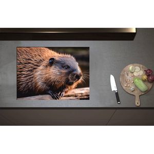 Inductieplaat Beschermer - Bever hangt met poten over stuk hout heen - 71x52 cm - 2 mm Dik - Inductie Beschermer - Bescherming Inductiekookplaat - Kookplaat Beschermer van Wit Vinyl