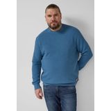 s.Oliver Big Size sweatshirt, 6244, XXL