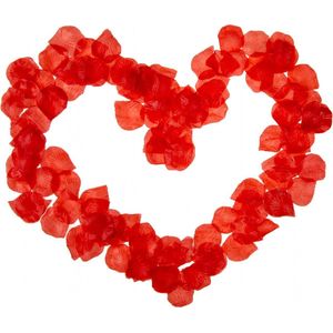 Rozenblaadjes - Romantisch - Valentijn Decoratie - 500 stuks Rood