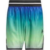 Korte adidas Crazy Lite AOP