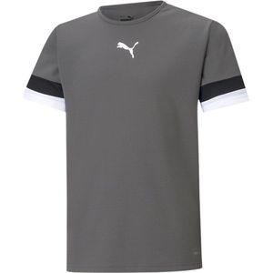 Puma Teamrise Shirt Korte Mouw Kinderen - Grijs | Maat: 140