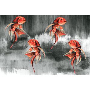 Behang staal Koi Fish Art grijs